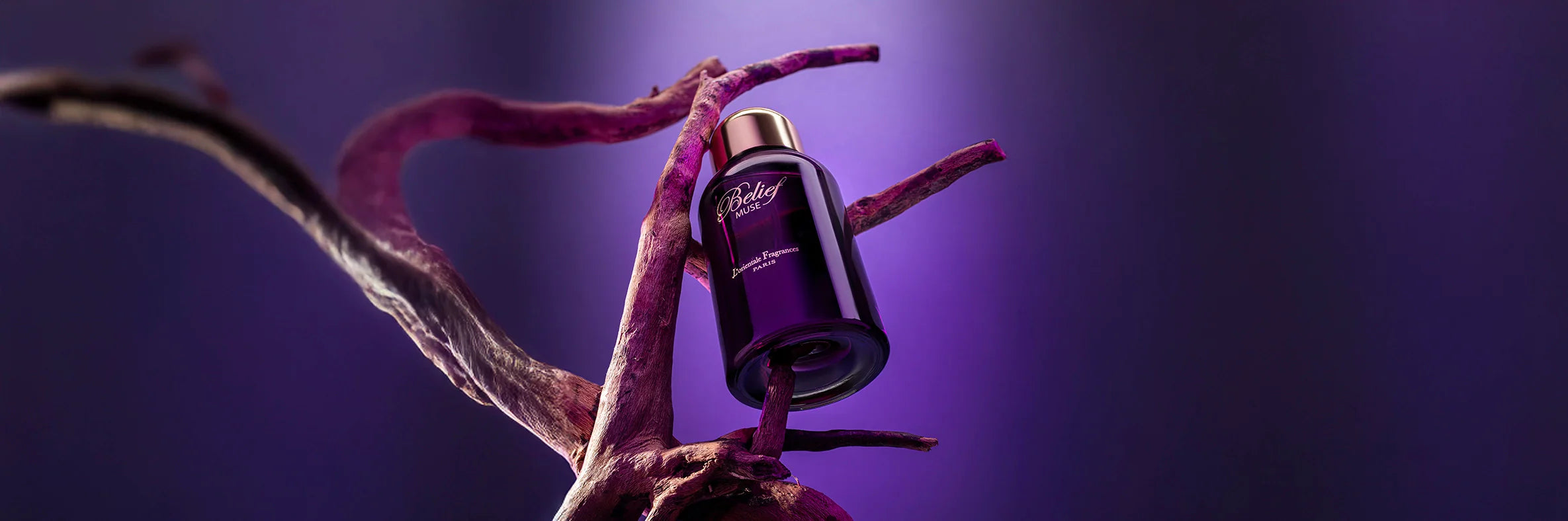 The Belief Collection