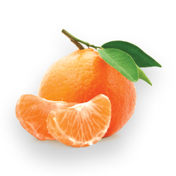MANDARIN ORANGE