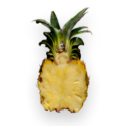 PINEAPPLE