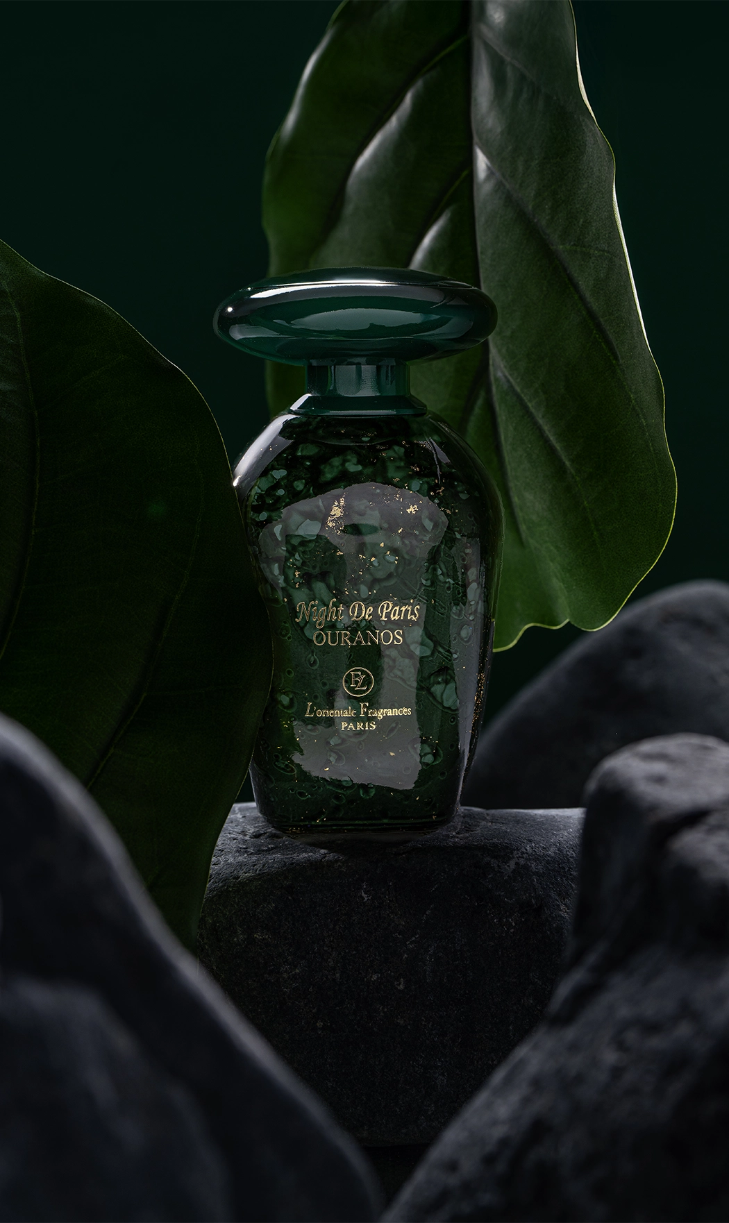 Mega Menu Image1003161